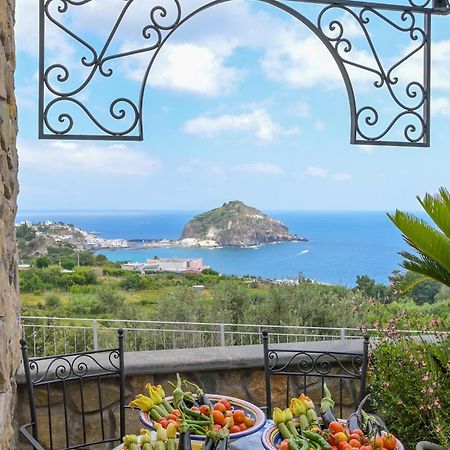 Tenuta Monte Di Panza Bed & Breakfast Ischia Ngoại thất bức ảnh